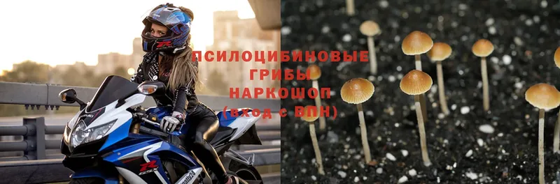 Галлюциногенные грибы Magic Shrooms  MEGA зеркало  Кропоткин 